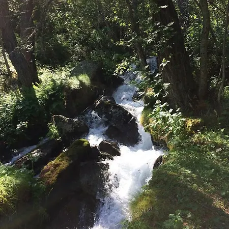 Lo Stambecco Bianco *